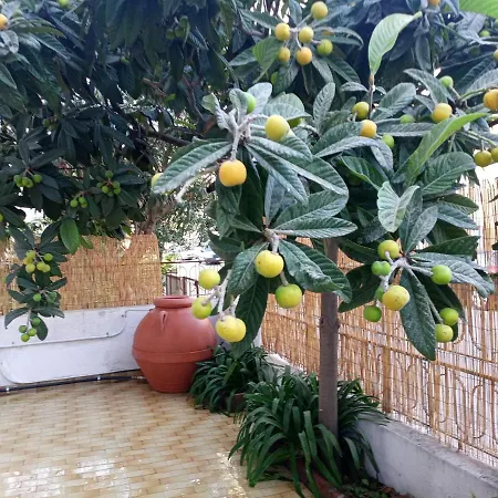 La Casa Di Anna Casa vacanze